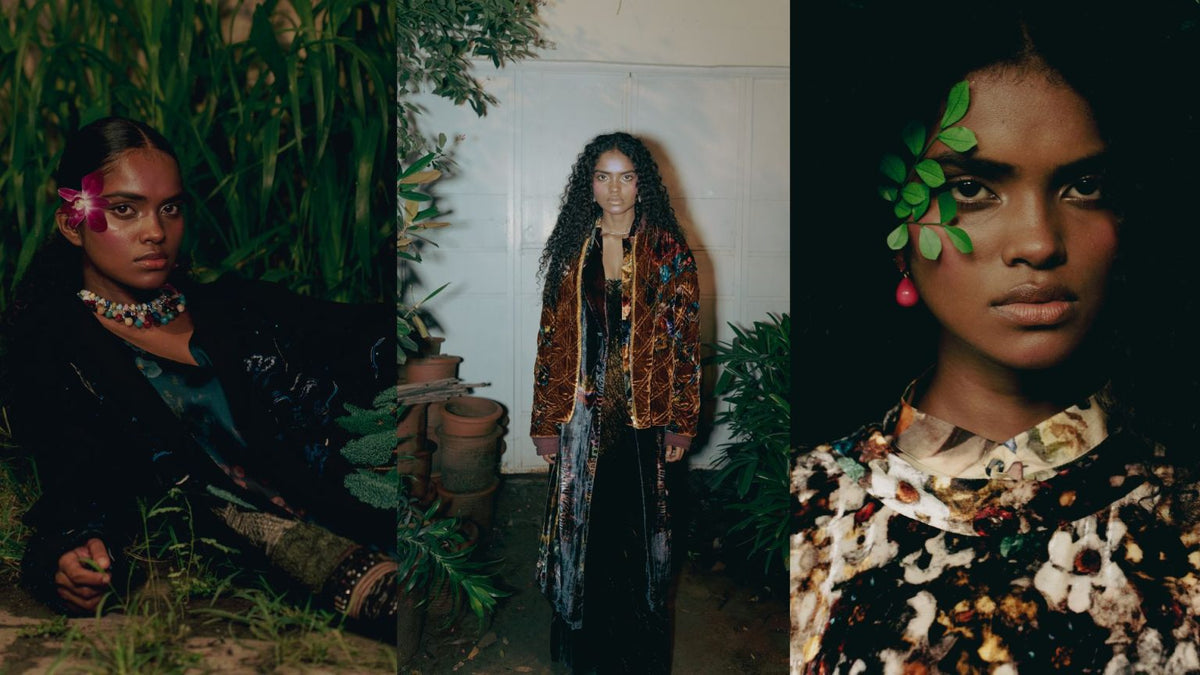 Fleurs de Minuit: A Journey Through Midnight Blooms